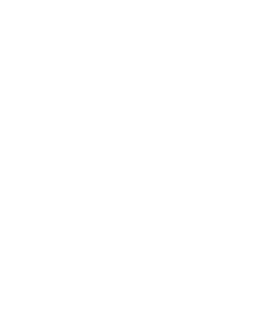 Dgs Stiftung Scholz Partner Gmbh